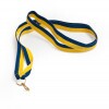 Blue-yellow 10 mm wide medal ribbon
