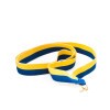 Blue-yellow 22 mm wide medal ribbon